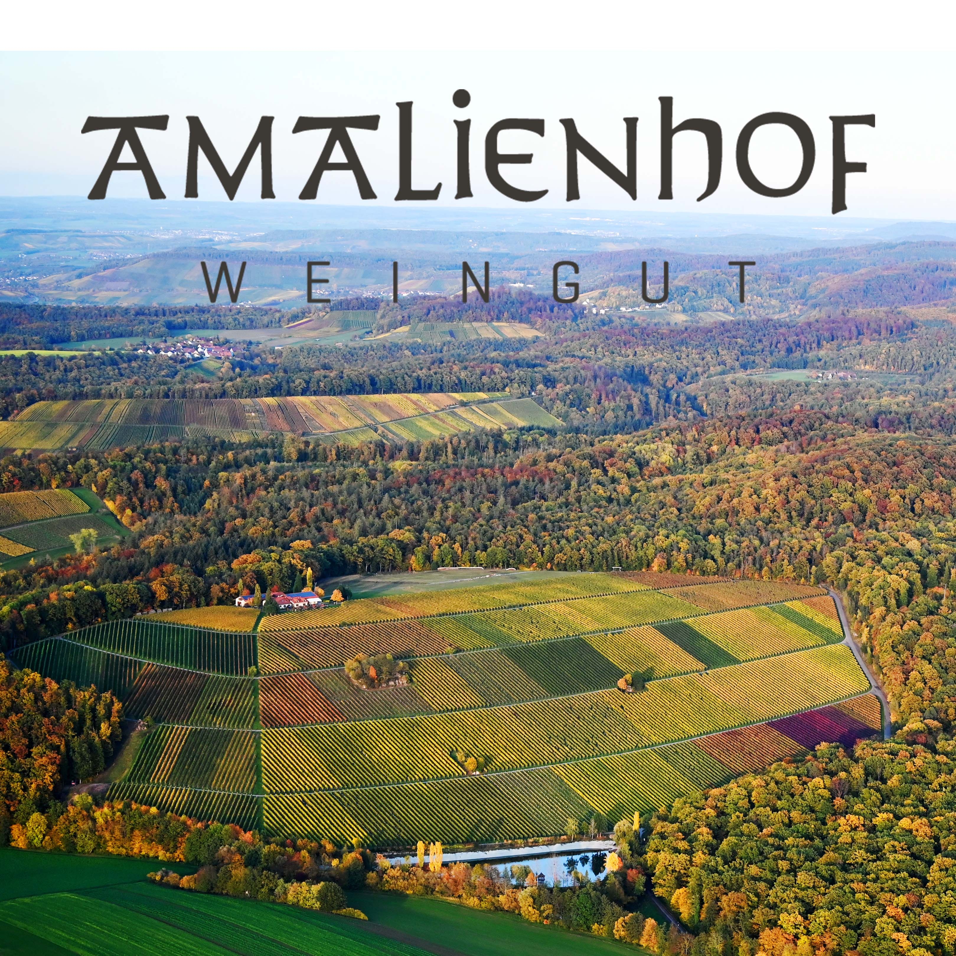 Weingut Amalienhof
